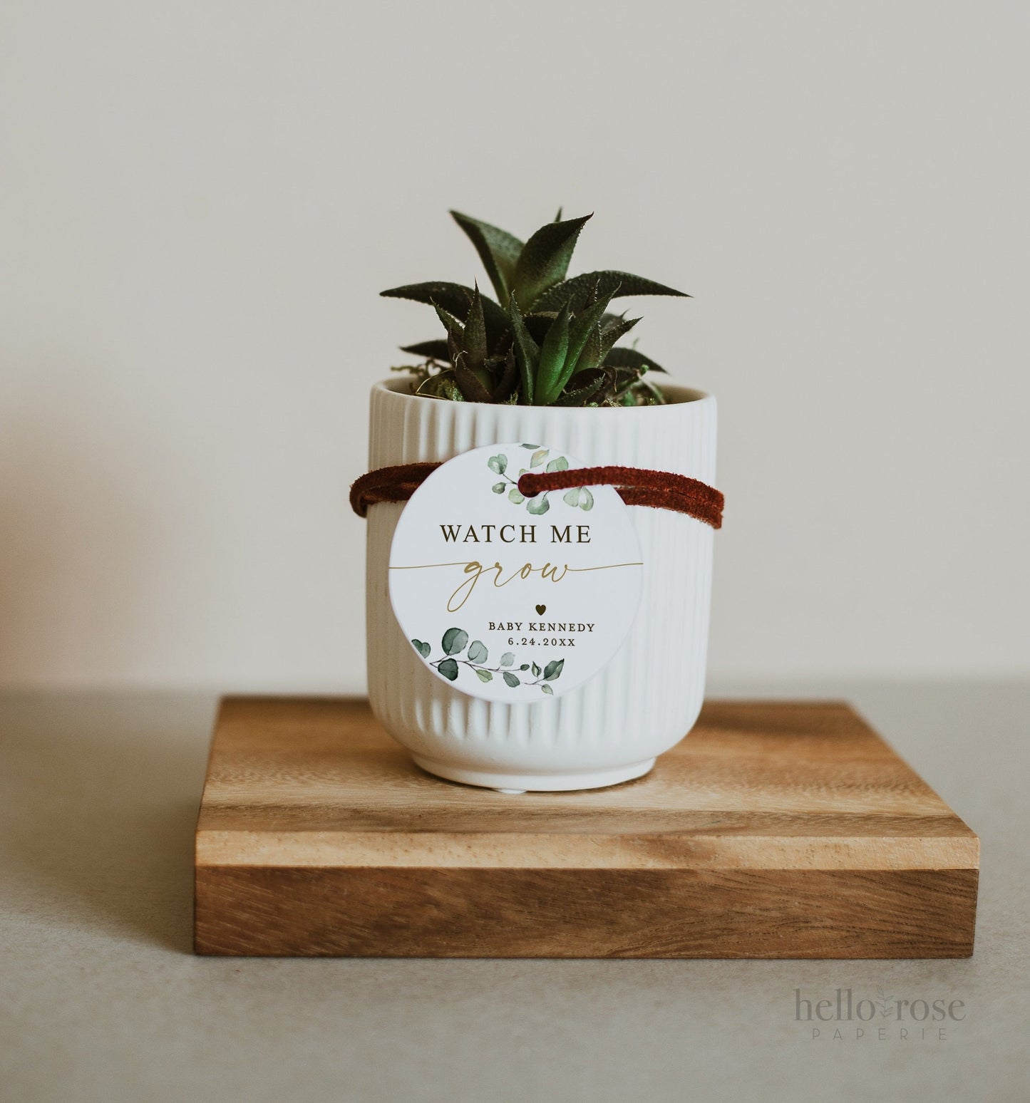 Watch Me Grow Baby Shower Tags Stickers Labels Template . Succulent Favors . Personalized Editable PRINTABLE Templett Instant Download G2-T