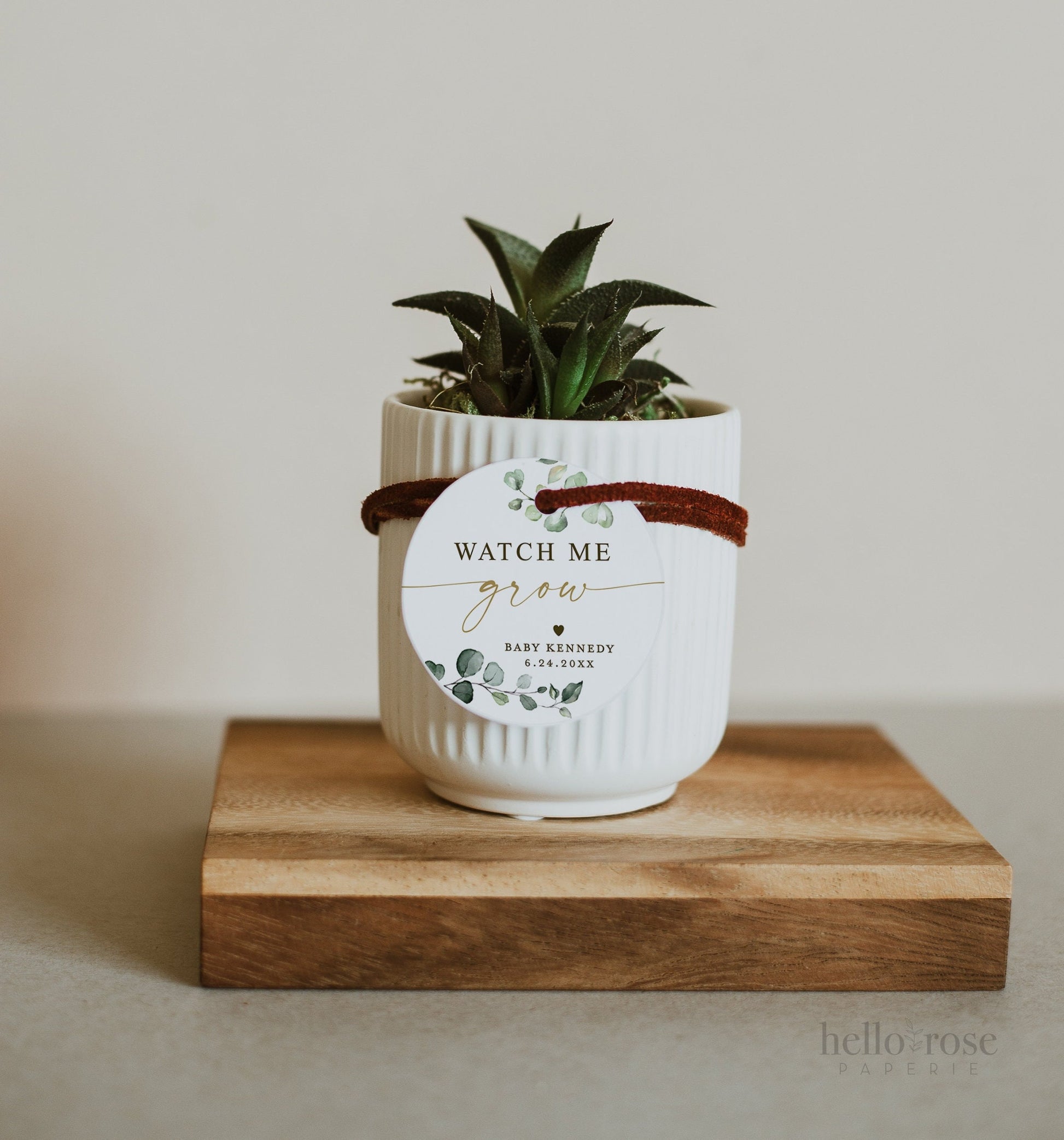 Watch Me Grow Baby Shower Tags Stickers Labels Template . Succulent Favors . Personalized Editable PRINTABLE Templett Instant Download G2-T