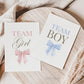 Team Boy or Girl Favor Fans, What Will Baby Be, Hold Up Your Guess, Pink Blue Bows Gender Reveal Game, Editable Template Download TEMPLETT