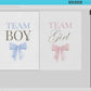 Team Boy or Girl Favor Fans, What Will Baby Be, Hold Up Your Guess, Pink Blue Bows Gender Reveal Game, Editable Template Download TEMPLETT