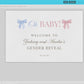 Welcome Sign Oh Baby Gender Reveal, He or She What Will Baby Be, Pink and Blue Bows Baby Gender Reveal, Template Instant Download TEMPLETT